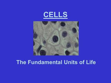 CELLS The Fundamental Units of Life. Cell Theory 1.All organisms are composed of 1 or more cells. 2.The cell is the basic living unit, providing organization.