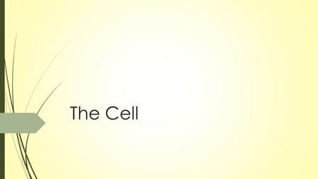 The Cell. The history of the Cell Theory  Before microscopes were invented, people believed that diseases were caused by curses and supernatural spirits.