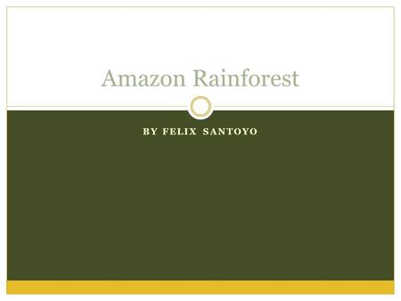 BY FELIX SANTOYO Amazon Rainforest. Effect on Climate Change The Amazon Rainforest is being destroyed by Deforestation, Greenhouse Gases, CO2, Acid Rain,