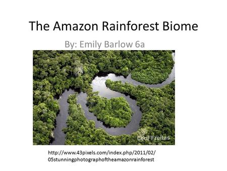 The Amazon Rainforest Biome