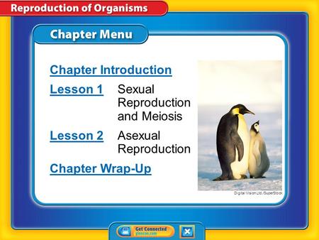 Chapter Menu Chapter Introduction Lesson 1Lesson 1Sexual Reproduction and Meiosis Lesson 2Lesson 2Asexual Reproduction Chapter Wrap-Up Digital Vision.