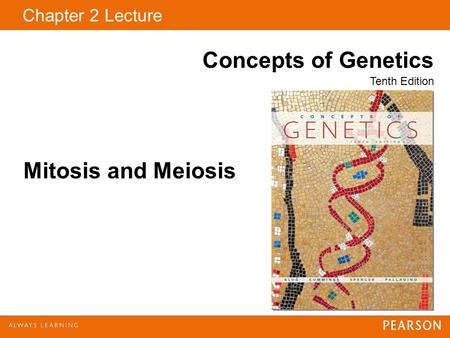 Copyright © 2009 Pearson Education, Inc. Click to edit Master tit Chapter 2 Lecture Concepts of Genetics Tenth Edition Mitosis and Meiosis.