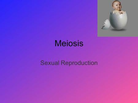 Meiosis Sexual Reproduction. Meiosis: What is the point? Cell division that produces a sperm cell or an egg cell (Gametes). Starts with one cell that.
