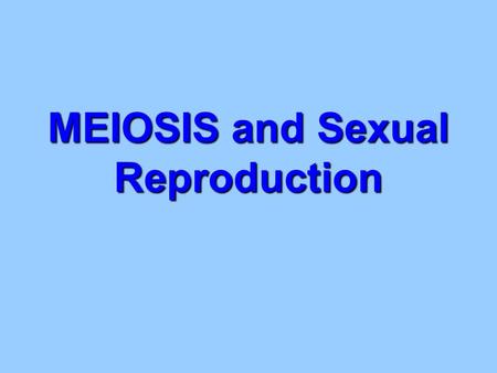 MEIOSIS and Sexual Reproduction. Vocabulary MeoisisDiploid Gametefertilization Somatic cellCrossing Over Autosomal chromosomeIndependent Sex chromosome.