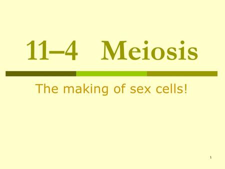 11–4  Meiosis The making of sex cells!.