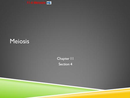 Meiosis Chapter 11 Section 4.