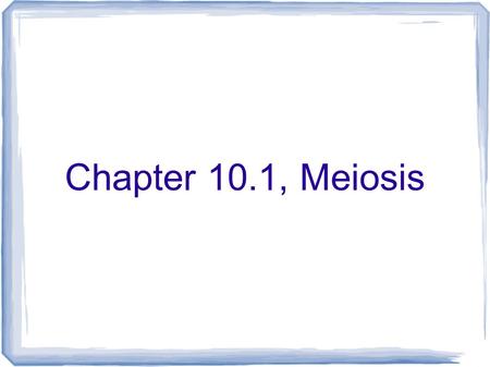 Chapter 10.1, Meiosis.