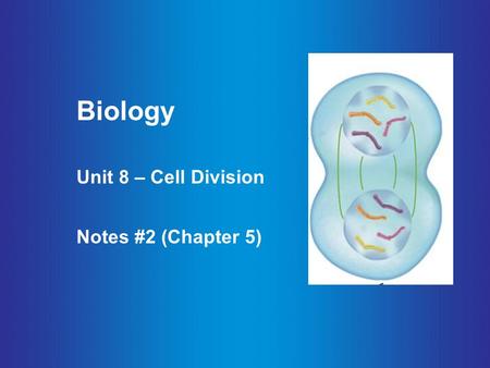 Biology Unit 8 – Cell Division Notes #2 (Chapter 5)