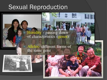 Sexual Reproduction  Heredity genes  Heredity - passing down of characteristics (genes)  Alleles  Alleles- different forms of the same gene.
