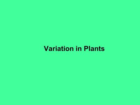 Variation in Plants. David S. Seigler Department of Plant Biology University of Illinois Urbana, Illinois 61801 USA