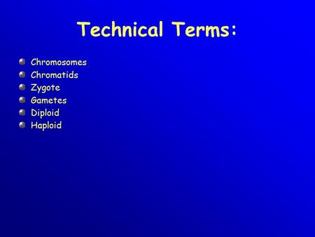Technical Terms: Chromosomes Chromatids Zygote Gametes Diploid Haploid.
