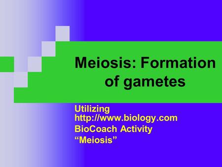 Meiosis: Formation of gametes Utilizing  BioCoach Activity “Meiosis”