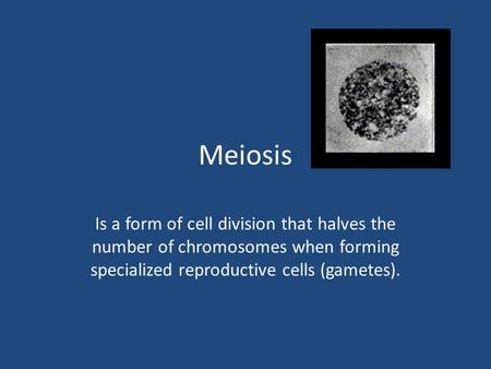 Meiosis Is a form of cell division that halves the number of chromosomes when forming specialized reproductive cells (gametes).