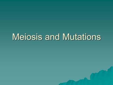 Meiosis and Mutations. Remember:  Mitosis - takes place in regular body cells (somatic cells) and you end up with 2 identical diploid (2n) cells where.