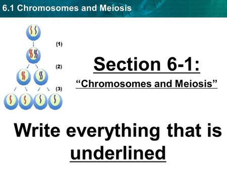 6.1 Chromosomes and Meiosis Section 6-1: “Chromosomes and Meiosis” Write everything that is underlined.
