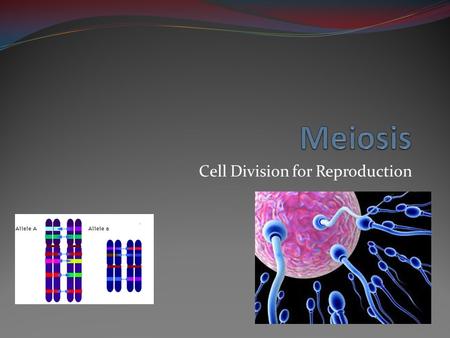 Cell Division for Reproduction