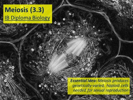 Meiosis (3.3) IB Diploma Biology Essential Idea: Meiosis produces genetically-varied, haploid cells needed for sexual reproduction.