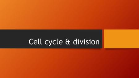 Cell cycle & division. Vocabulary Chromosome- DNA bound to proteins forming a threadlike structure containing genetic information arranged in a linear.