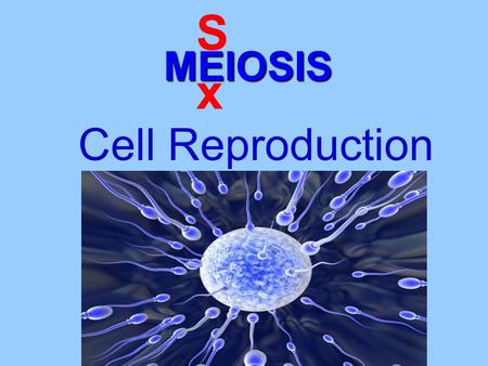 MEIOSIS SxSx Cell Reproduction. Meiosis cell divisiongametes (Sex cells), half chromosomes,The form of cell division by which gametes (Sex cells), with.