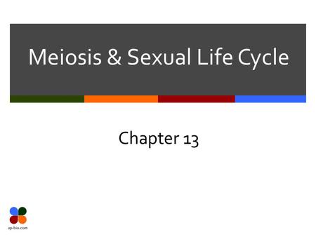Meiosis & Sexual Life Cycle Chapter 13. Slide 2 of 27 Definitions  Genetics – scientific study of heredity and hereditary variation  H eredity – transmission.