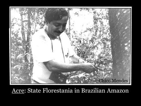 Acre: State Florestania in Brazilian Amazon Chico Mendes.
