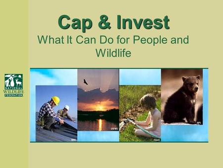 Cap & Invest Cap & Invest What It Can Do for People and Wildlife.