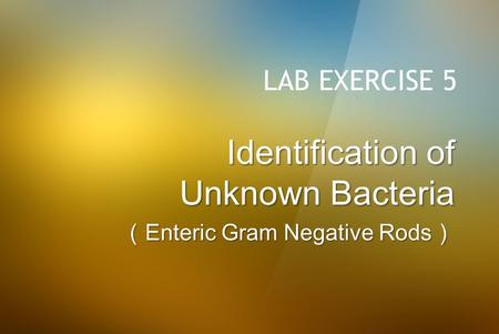 Identification of Unknown Bacteria （Enteric Gram Negative Rods）