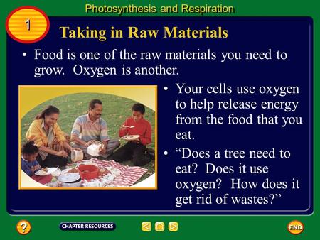 Food is one of the raw materials you need to grow. Oxygen is another. “Does a tree need to eat? Does it use oxygen? How does it get rid of wastes?” Taking.