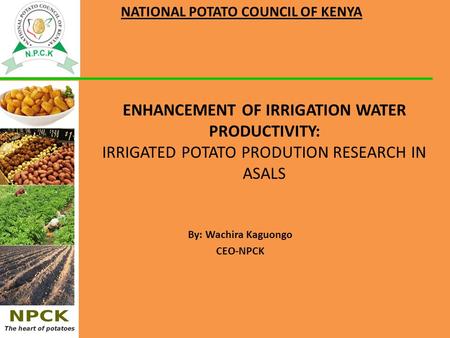 ENHANCEMENT OF IRRIGATION WATER PRODUCTIVITY: IRRIGATED POTATO PRODUTION RESEARCH IN ASALS By: Wachira Kaguongo CEO-NPCK NATIONAL POTATO COUNCIL OF KENYA.