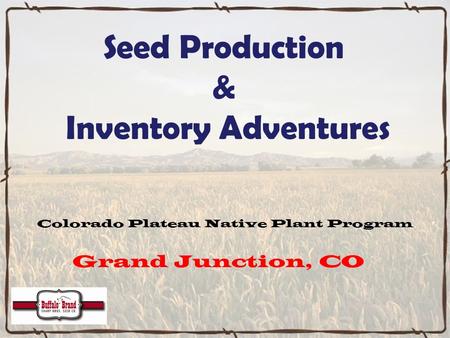 Seed Production & Inventory Adventures Grand Junction, CO Colorado Plateau Native Plant Program.