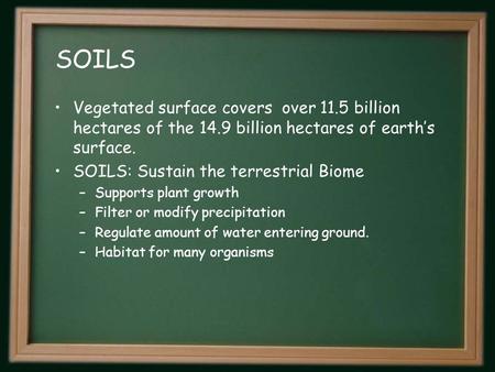 SOILS Vegetated surface covers over 11.5 billion hectares of the 14.9 billion hectares of earth’s surface. SOILS: Sustain the terrestrial Biome –Supports.