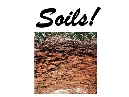 Soils!.
