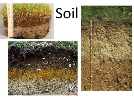 Soil. Formation of Soil Combination of sediments and organic material 4 main components – Organic material – Sediment – Water – Air Combinations of these.