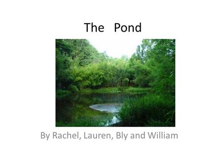 The Pond By Rachel, Lauren, Bly and William. Dragonflies Young dragonflies eat water insects. Dragonflies have a wingspan of 3 to 5 inches long. Dragonflies.