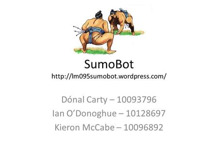 SumoBot  Dónal Carty – 10093796 Ian O’Donoghue – 10128697 Kieron McCabe – 10096892.