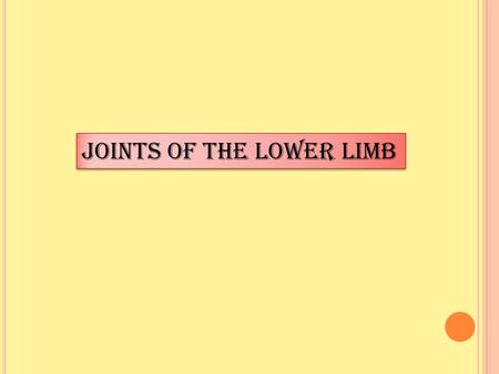 Joints of the lower limb