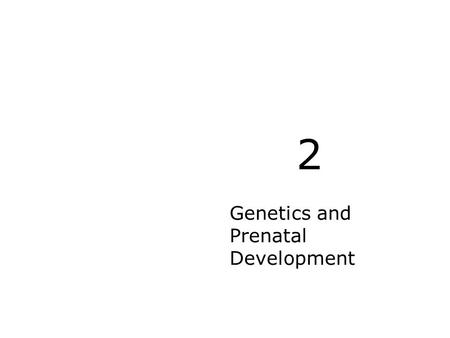 Genetics and Prenatal Development 2. Genetic Basics Building Blocks of Life  Chromosomes  DNA  Genes  Genomes L.O. 2.1.