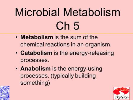 Microbial Metabolism Ch 5