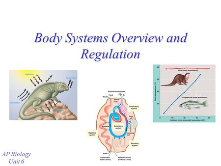 Body Systems Overview and Regulation AP Biology Unit 6.
