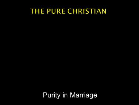 Purity in Marriage.  How many television programs depict a happily, holy, married couple?  How many movies celebrate loving and stable marriages? 