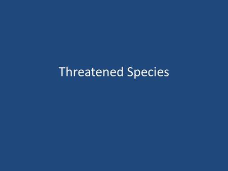 Threatened Species. Steelhead Trout from the California Coast -Put on threatened list in 2007 -Habitat: mainly thrive in streams, and deep low-velocity.