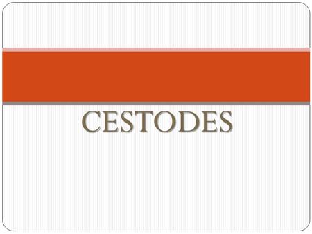 CESTODES. General characteristics: Both sexes are seen in the same body. They are flat segmented worms, which inhabits the small intestine. Part of the.