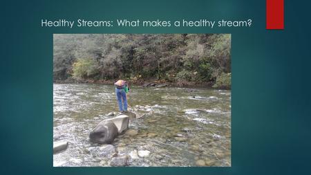 Healthy Streams: What makes a healthy stream?. Scientists observe, measure, record, analyze, and make conclusions.