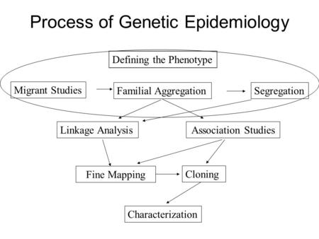 Process of Genetic Epidemiology Migrant Studies Familial AggregationSegregation Association StudiesLinkage Analysis Fine Mapping Cloning Defining the Phenotype.
