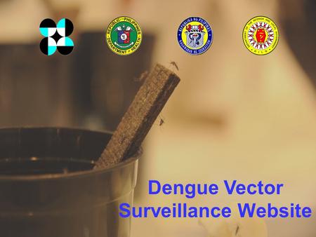 Dengue Vector Surveillance Website. The Dengue Vector Surveillance (DVS) website coverage was extended to cover nationwide implementation by CY 2013 The.