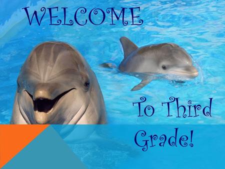 WELCOME To Third Grade!. THIRD GRADE CURRICULUM 3 RD GRADE READERS CAN… -Use schema and background knowledge -Ask questions when reading -Use text to.
