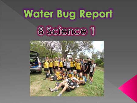 Thankyou to all members of the Warrambungle Environmental Education Centre for running this excursion. Thankyou also to Meg Leathart for providing all.