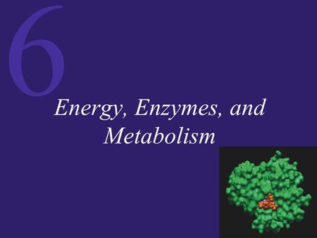 6 Energy, Enzymes, and Metabolism. 6 Energy and Energy Conversions ATP: Transferring Energy in Cells Enzymes: Biological Catalysts Molecular Structure.