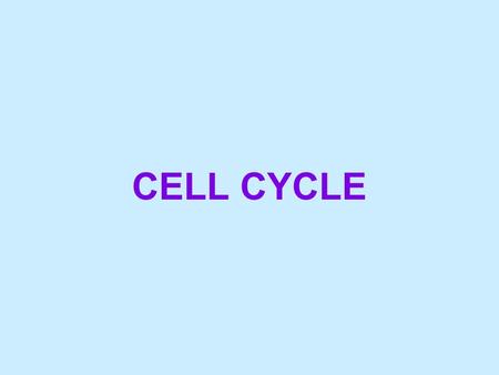 CELL CYCLE. Mitosis The functions of cell division: Reproduction.