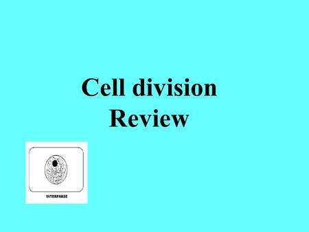 Cell division Review. This spot that holds the 2 chromatid copies together is called a ______________________ centromere.